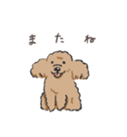 みんなだいすきトイプーさん（個別スタンプ：16）