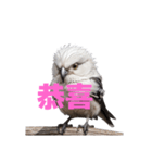 しまえなが C（個別スタンプ：13）