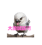 しまえなが C（個別スタンプ：15）