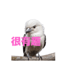 しまえなが C（個別スタンプ：16）