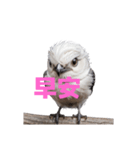 しまえなが C（個別スタンプ：18）