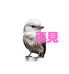 しまえなが C（個別スタンプ：20）