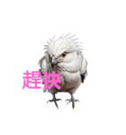 しまえなが C（個別スタンプ：25）
