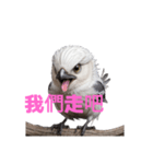 しまえなが C（個別スタンプ：28）