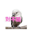 しまえなが C（個別スタンプ：33）