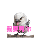 しまえなが C（個別スタンプ：40）