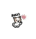 ヒメさんレアさん（個別スタンプ：6）