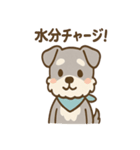 誰でも使える ねぎらいシュナ 敬語便り（個別スタンプ：7）