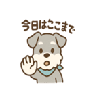 誰でも使える ねぎらいシュナ 敬語便り（個別スタンプ：11）