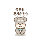 誰でも使える ねぎらいシュナ 敬語便り（個別スタンプ：21）