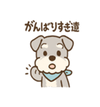 誰でも使える ねぎらいシュナ 敬語便り（個別スタンプ：34）
