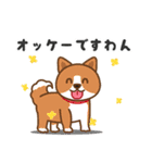 ぶーぶーちゃん ボツのおうち（個別スタンプ：24）