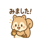 ありがとう届ける まめリスのほっこり便り（個別スタンプ：19）