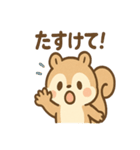 ありがとう届ける まめリスのほっこり便り（個別スタンプ：25）