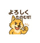 よろしくのスタンプです（個別スタンプ：26）