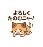 よろしくのスタンプです（個別スタンプ：31）