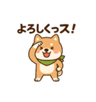 よろしくのスタンプです（個別スタンプ：34）