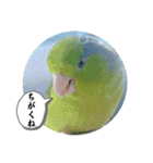 マメルリハ達26（個別スタンプ：2）