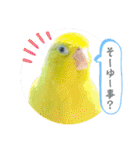 マメルリハ達26（個別スタンプ：3）