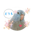 マメルリハ達26（個別スタンプ：5）
