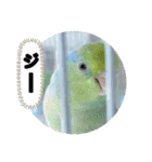 マメルリハ達26（個別スタンプ：19）
