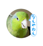 マメルリハ達26（個別スタンプ：27）