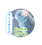 マメルリハ達26（個別スタンプ：30）