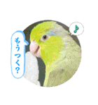マメルリハ達26（個別スタンプ：32）