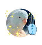 マメルリハ達26（個別スタンプ：36）
