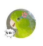 マメルリハ達26（個別スタンプ：37）