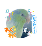 マメルリハ達26（個別スタンプ：39）