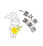 【中国語（繁体字）】父親節 夏のうさぎ（個別スタンプ：7）
