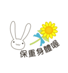 【中国語（繁体字）】父親節 夏のうさぎ（個別スタンプ：33）