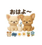 ふわふわチワワの 夏スタンプ（個別スタンプ：1）