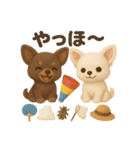 ふわふわチワワの 夏スタンプ（個別スタンプ：2）