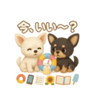 ふわふわチワワの 夏スタンプ（個別スタンプ：5）