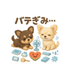 ふわふわチワワの 夏スタンプ（個別スタンプ：15）