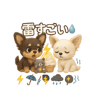 ふわふわチワワの 夏スタンプ（個別スタンプ：21）