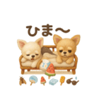 ふわふわチワワの 夏スタンプ（個別スタンプ：23）