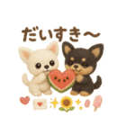 ふわふわチワワの 夏スタンプ（個別スタンプ：31）