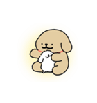 わんこカップル7(モルチーズ)（個別スタンプ：5）