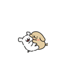 わんこカップル7(モルチーズ)（個別スタンプ：22）