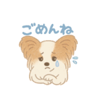 パピヨン あるちゃん 日常会話（個別スタンプ：4）