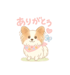 パピヨン あるちゃん 日常会話（個別スタンプ：10）