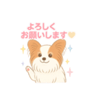 パピヨン あるちゃん 日常会話（個別スタンプ：11）