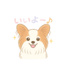 パピヨン あるちゃん 日常会話（個別スタンプ：14）
