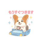 パピヨン あるちゃん 日常会話（個別スタンプ：16）
