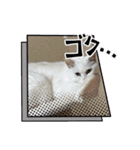 ぽんずときなこの毎日（個別スタンプ：1）