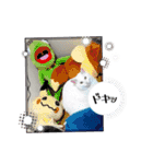 ぽんずときなこの毎日（個別スタンプ：12）