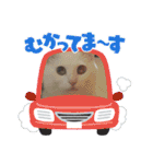 ぽんずときなこの毎日（個別スタンプ：14）
